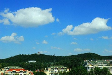 DSC_1484.jpg