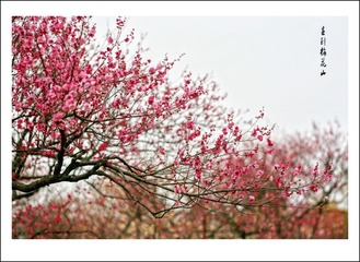 IMG_2398_conew3.jpg