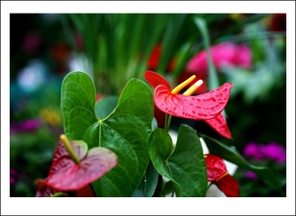 IMG_2352_conew3.jpg