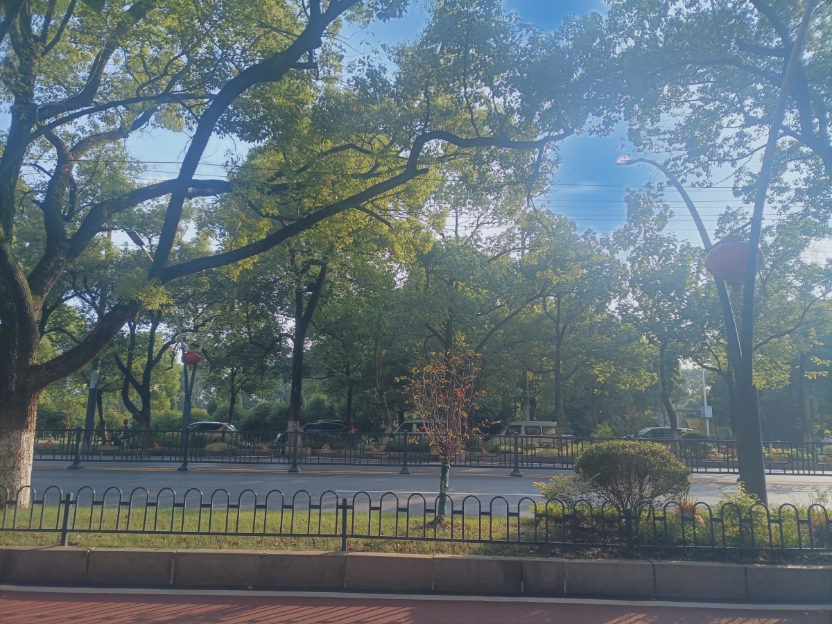 清晨时分路边的街景