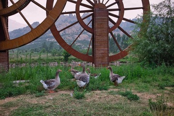 SDIM0154.JPG