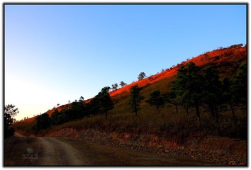 IMG_1755.jpg