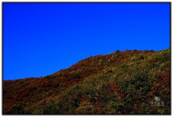 IMG_1661.jpg