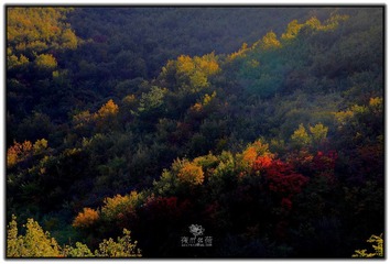IMG_1662.jpg