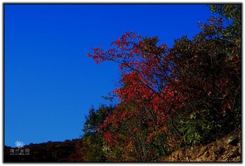 IMG_1663.jpg