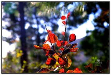 IMG_1673.jpg
