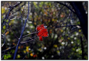 IMG_1677.jpg