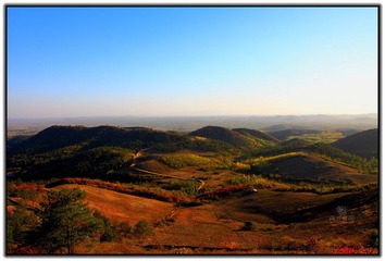 IMG_1691.jpg