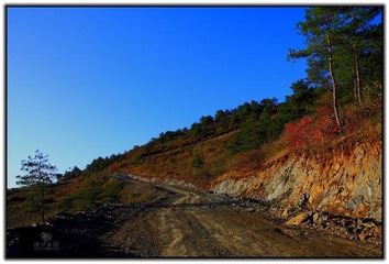 IMG_1709.jpg