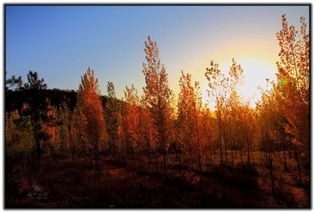 IMG_1745.jpg