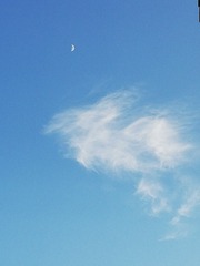 1404540