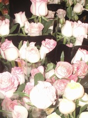 994E3239-7C16-4BCB-A7BB-6C3AE580A954/L0/001