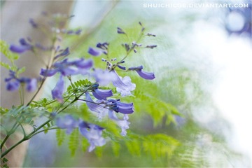 IMG_7290副本.jpg