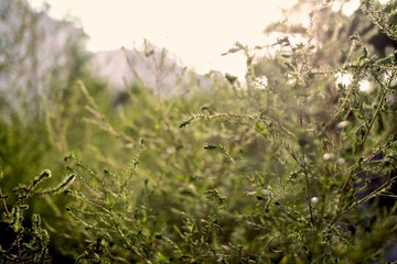 IMG_3684.jpg