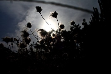 IMG_3752.jpg