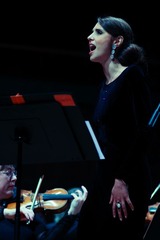 IMG_7386.JPG