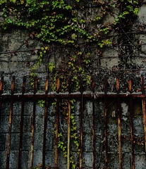 D2D81619-7635-40D9-A806-E33CFE253FFE/L0/001