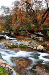 DSC_0403-1-xx.jpg