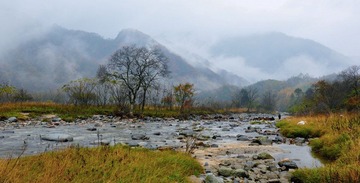 DSC_0023-1.jpg