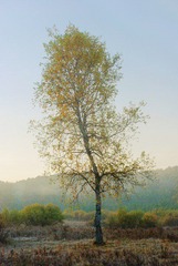 IMGP7623.jpg
