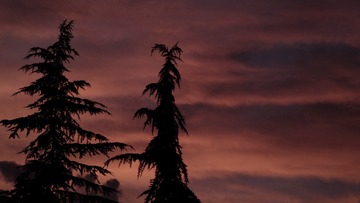 CC5A3280-FA44-437E-BE73-508A5D1C1BF3/L0/001