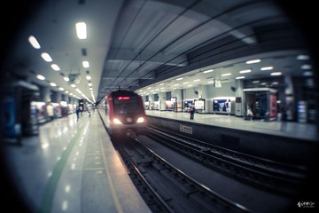 IMGP5008.jpg