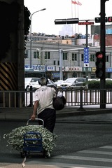 tmp_df635f2b9ff6b02e53025cd8d502730a
