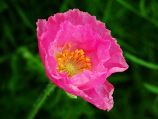 1CD052D0-3A16-42C6-9C84-8D48F96C4F70/L0/001