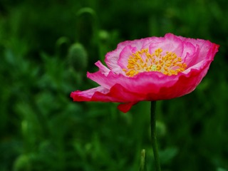 4B93F38F-8DB3-4DB0-9A9A-FFFC976AF105/L0/001