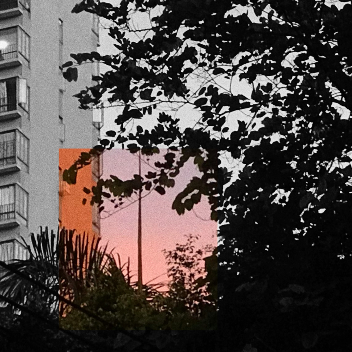 反差- 摄影师162952930856082 - 图虫