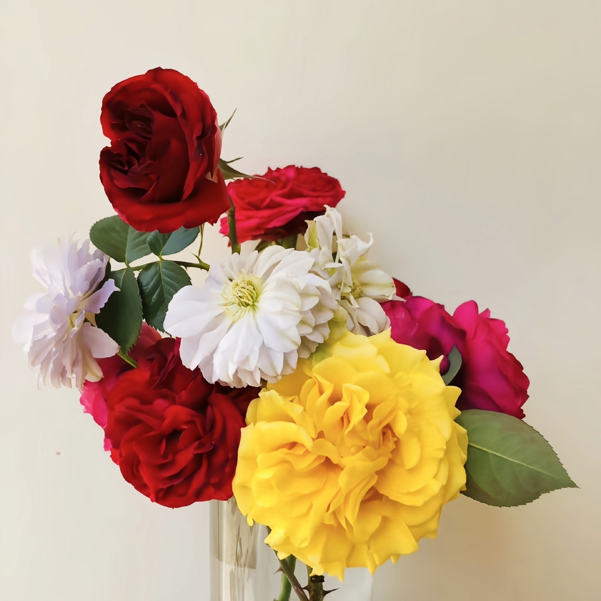 唯有鲜花和好心情不可辜负