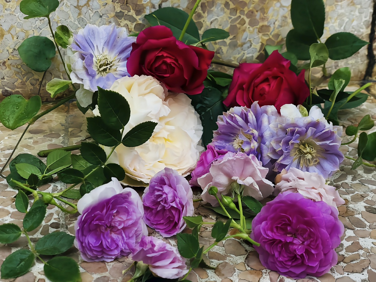 唯有鲜花和好心情不可辜负