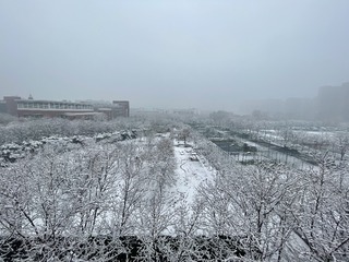 78F0683A-A9AA-4E0E-A0D9-E5717C7B7195/L0/001
