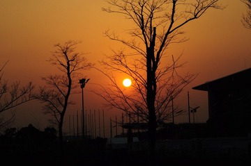 DSC_6292.jpg