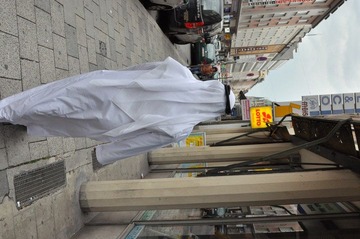 DSC_8666.JPG