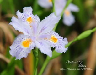 DSC_8389.jpg