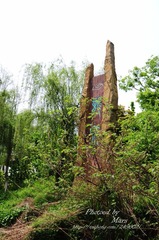 DSC_8910.jpg