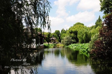 DSC_1134.JPG