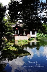 DSC_1129.JPG