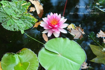 DSC_1138.JPG