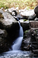 DSC_3646.JPG