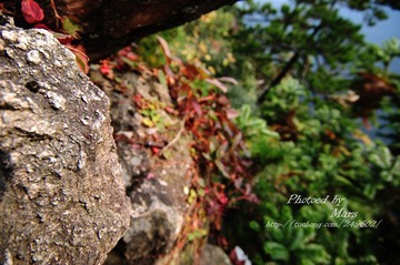 DSC_4146.JPG
