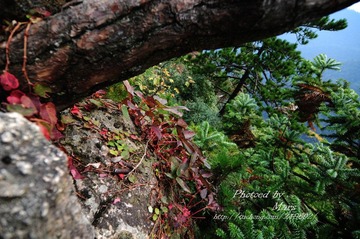 DSC_4148.JPG