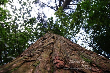 DSC_4164.JPG