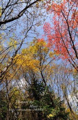 DSC_5535.jpg
