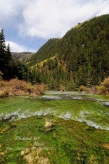 DSC_5645.jpg