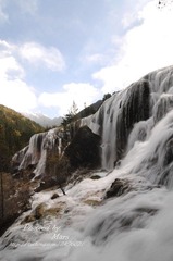 DSC_5657.jpg