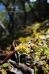 DSC_6284.jpg