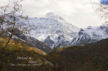 DSC_6323.jpg