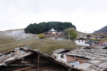 DSC_4931.jpg